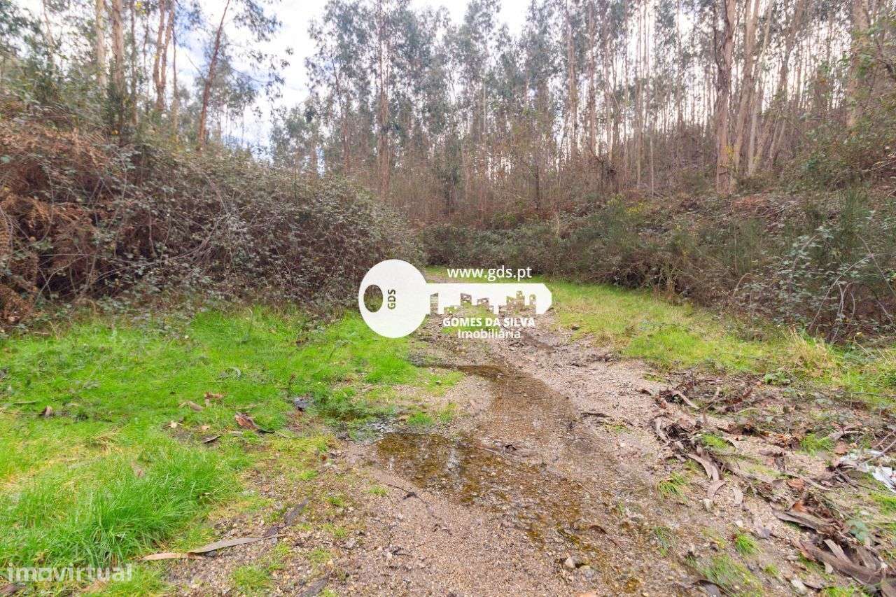 Terreno Rústico à Venda – 6.600m² | Travassos, Morreira, Braga-8