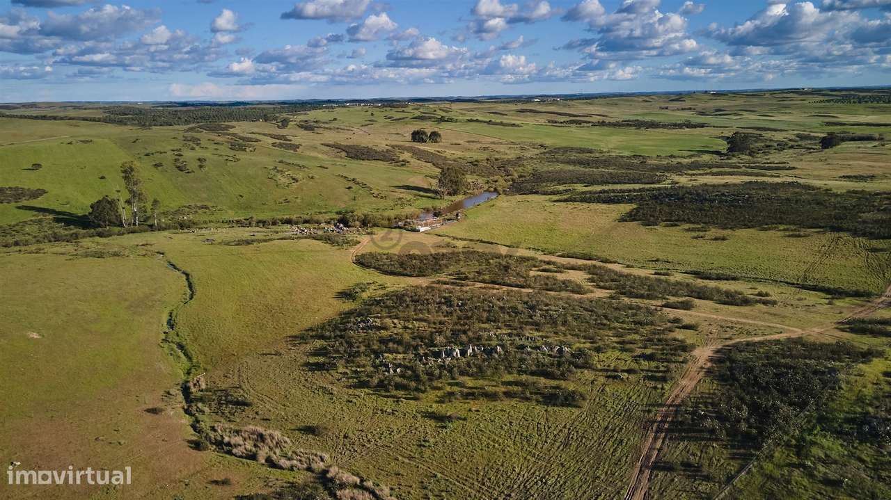 Terreno rústico 5,575 ha, Plantação de Figueira Índia, São Marcos da A - Grande imagem: 5/39