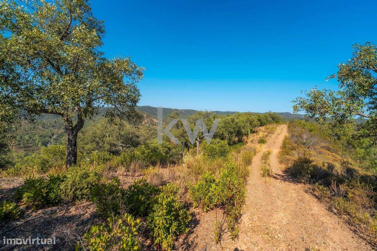 Terreno com 9700 m2 em Cepo, Querença, produção de cortiça e medronhos - Grande imagem: 3/29