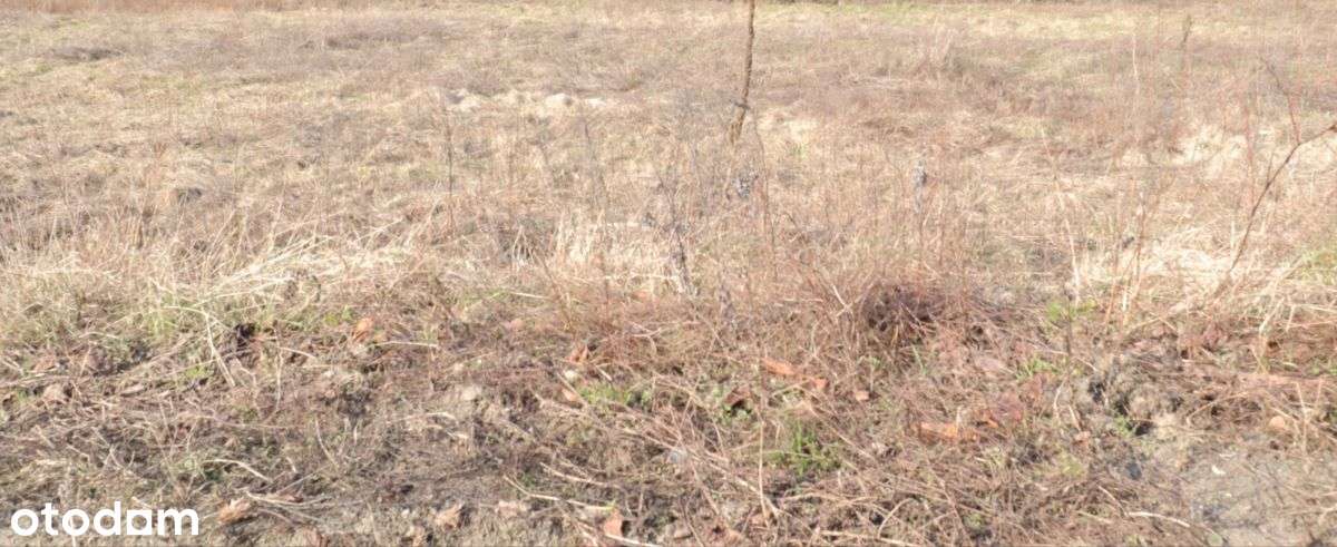 Działka położona na granicy Matemblewa i Moreny-2