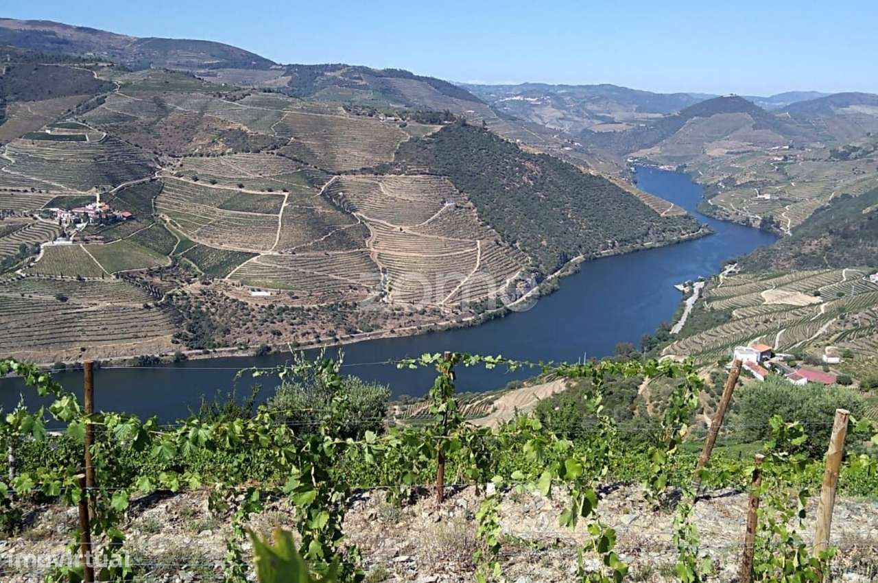 Quinta com vista sobre o Douro - Grande imagem: 3/31