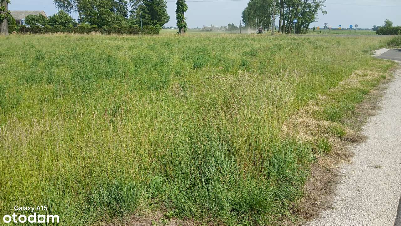 Działka budowlana o powierzchni 1772m2 - Pełny obrazek: 4/6