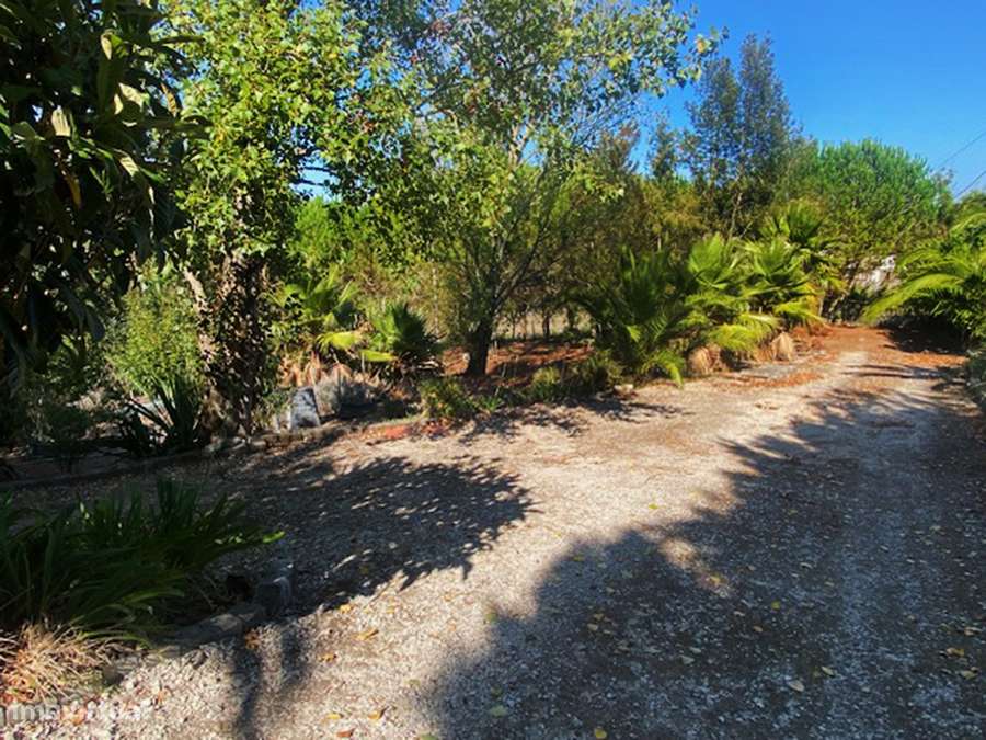 Moradia T5 grande propriedade, pleno campo, arredores Caldas da Rainha-12