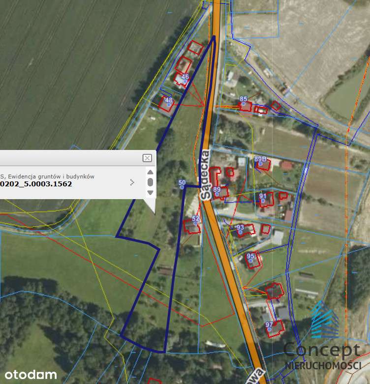 Jasień,  działka 81 ar z WZ na 9 domów! - Pełny obrazek: 4/13