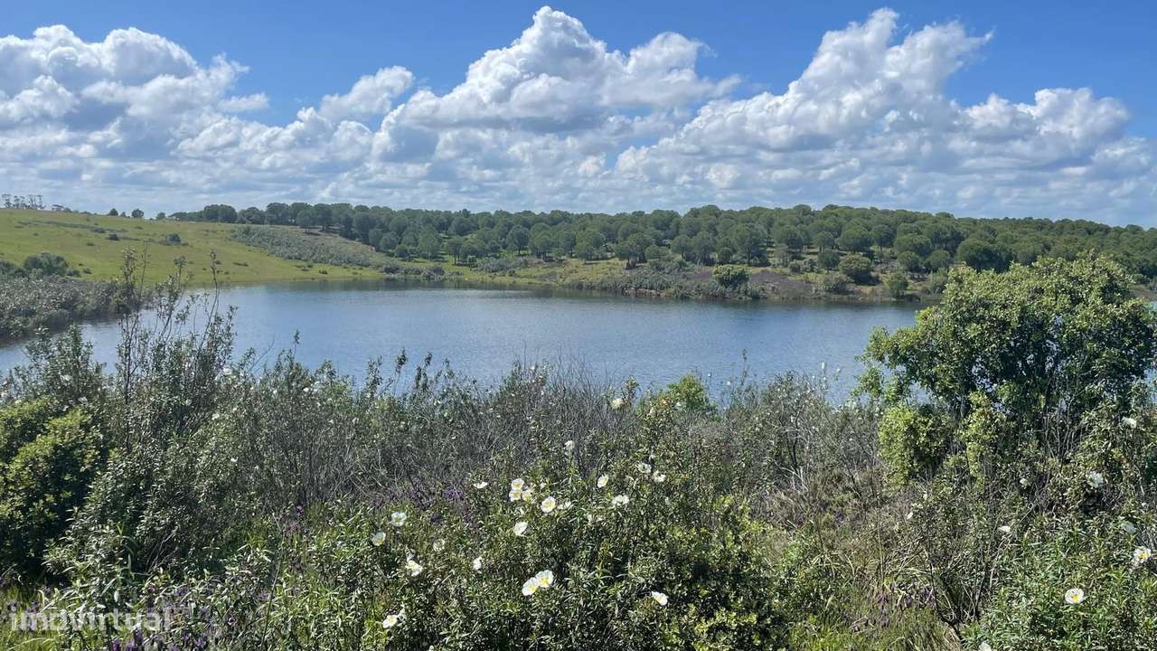Terreno na Margem Alqueva-8