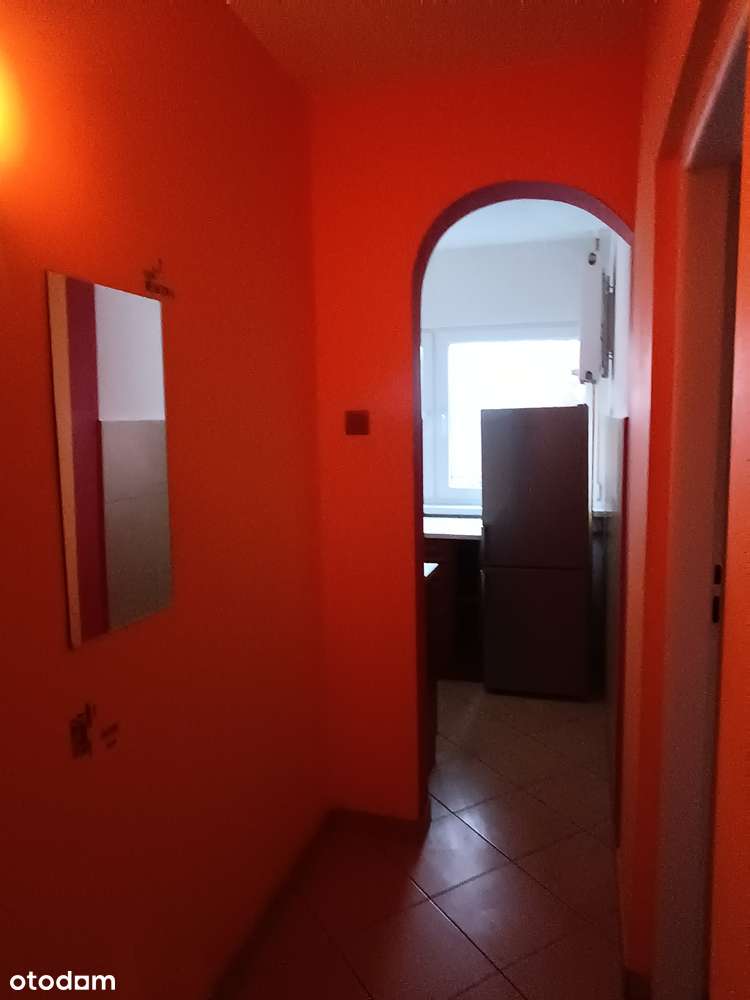 Słoneczne M3, 45 M2 z balkonem,2200 zł całość - Pełny obrazek: 3/9