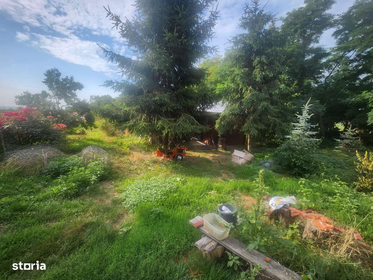 Casa cu teren de 12000 mp in Brad com Beresti Bistrita - Imagine principală: 3/9