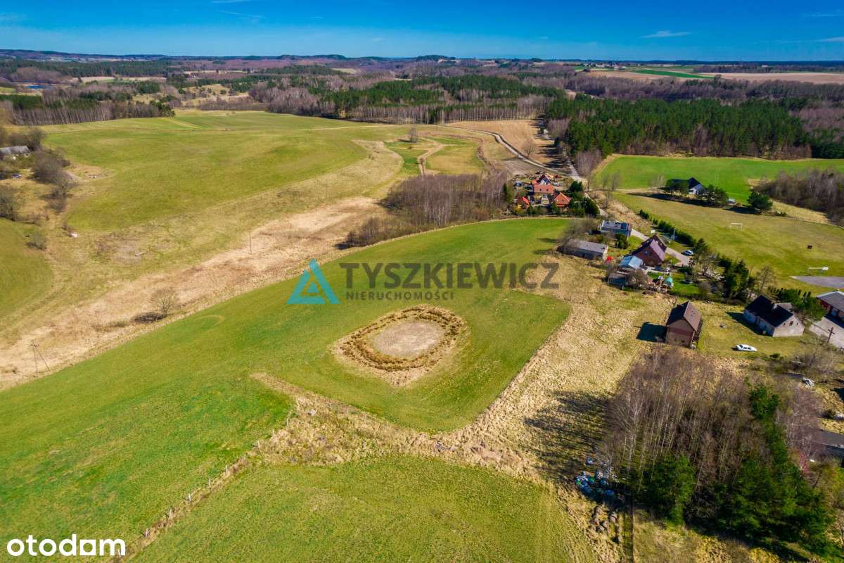 Działka rolna w Głodowie! - Pełny obrazek: 4/11