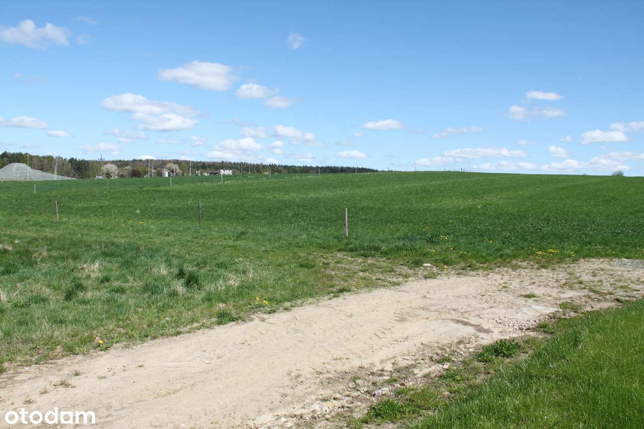 DZIAŁKA BUDOWLANA SZEMUD 1230 mkw - Pełny obrazek: 5/7