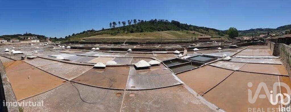 Terreno Agrícola em Rio Maior - Grande imagem: 5/8