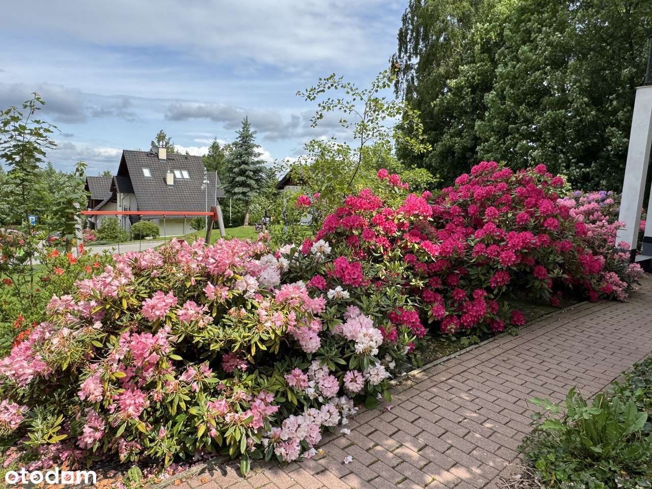 Apartament NAD POTOKIEM | widok na GÓRY | KARPACZ-3