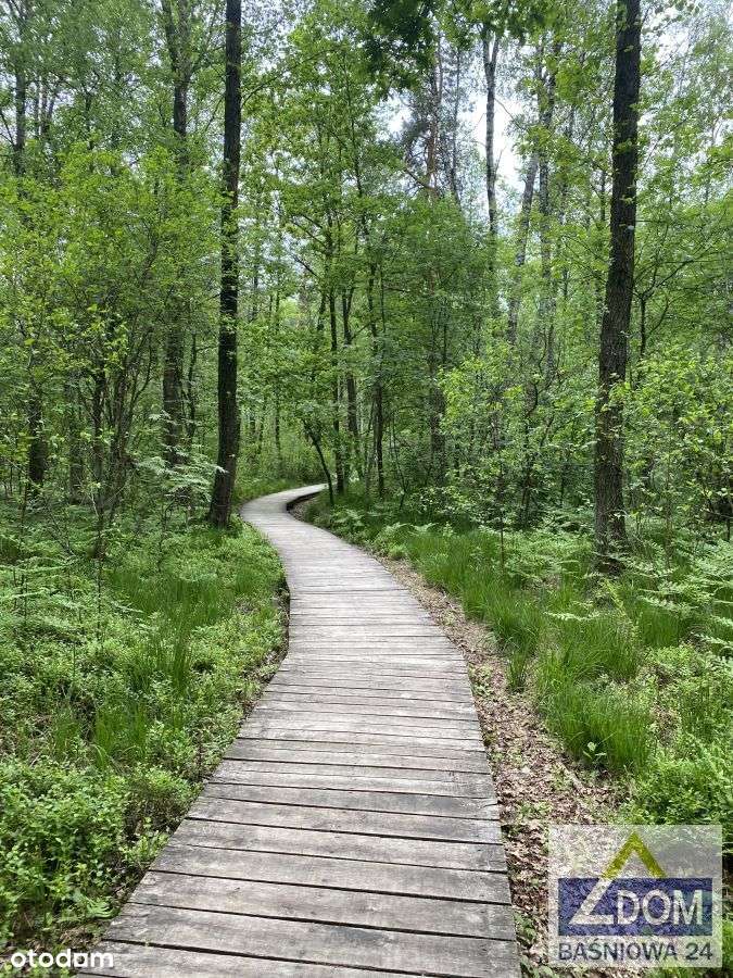 Dom letniskowy  przy Poleskim Parku Krajobrazowym-7