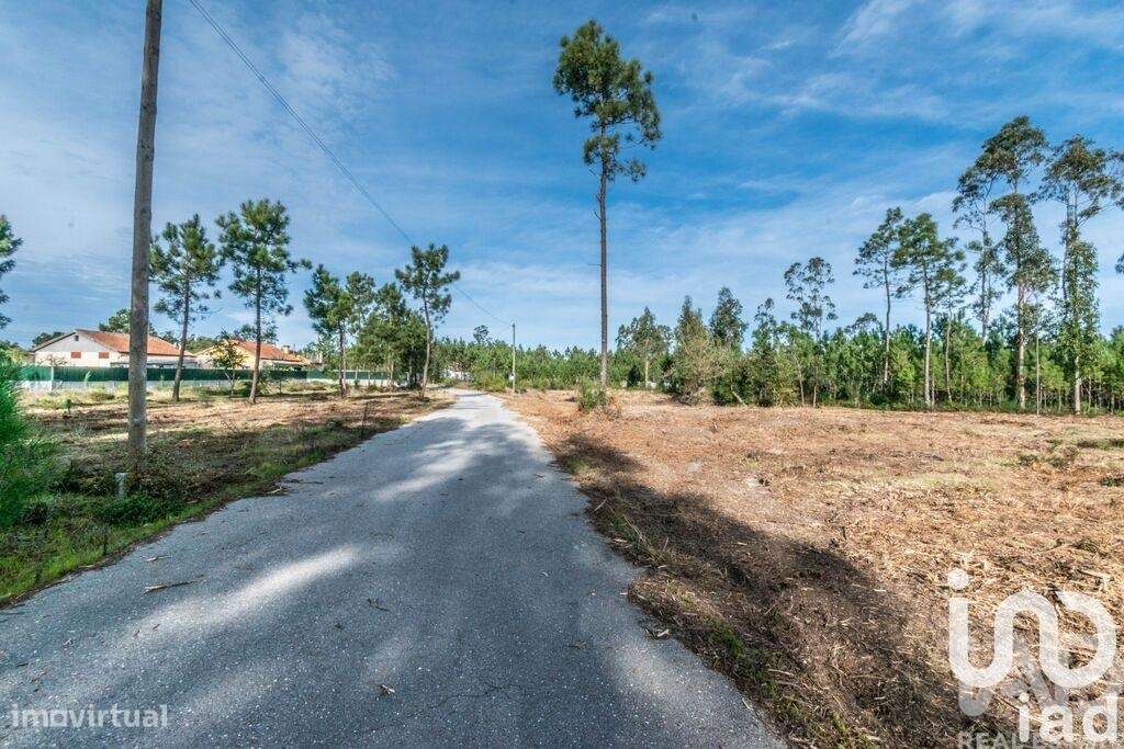 Terreno em Monte Redondo e Carreira - Grande imagem: 2/6