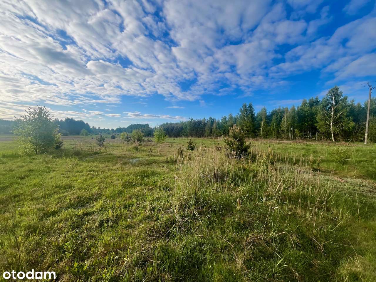 Działka budowlana - Czostków-4