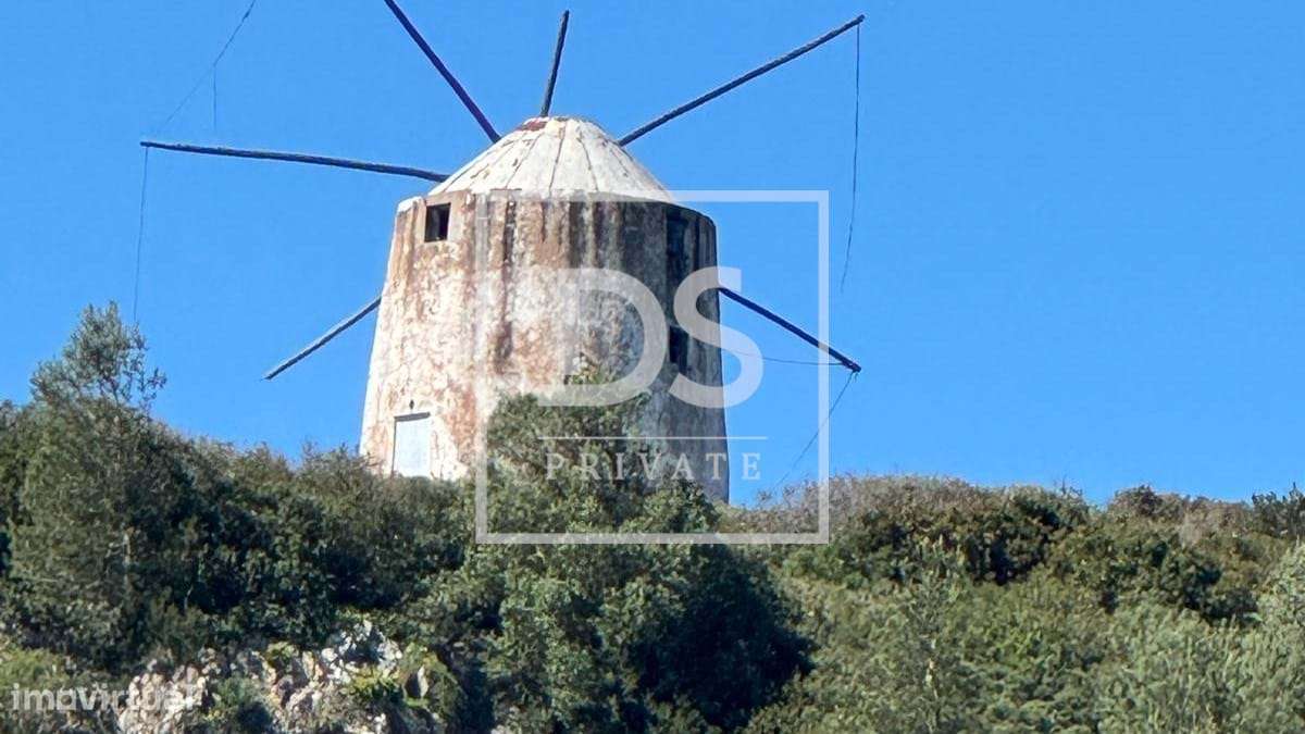 Terreno com projeto aprovado para 4 moradias, investimento estratégico - Grande imagem: 5/5