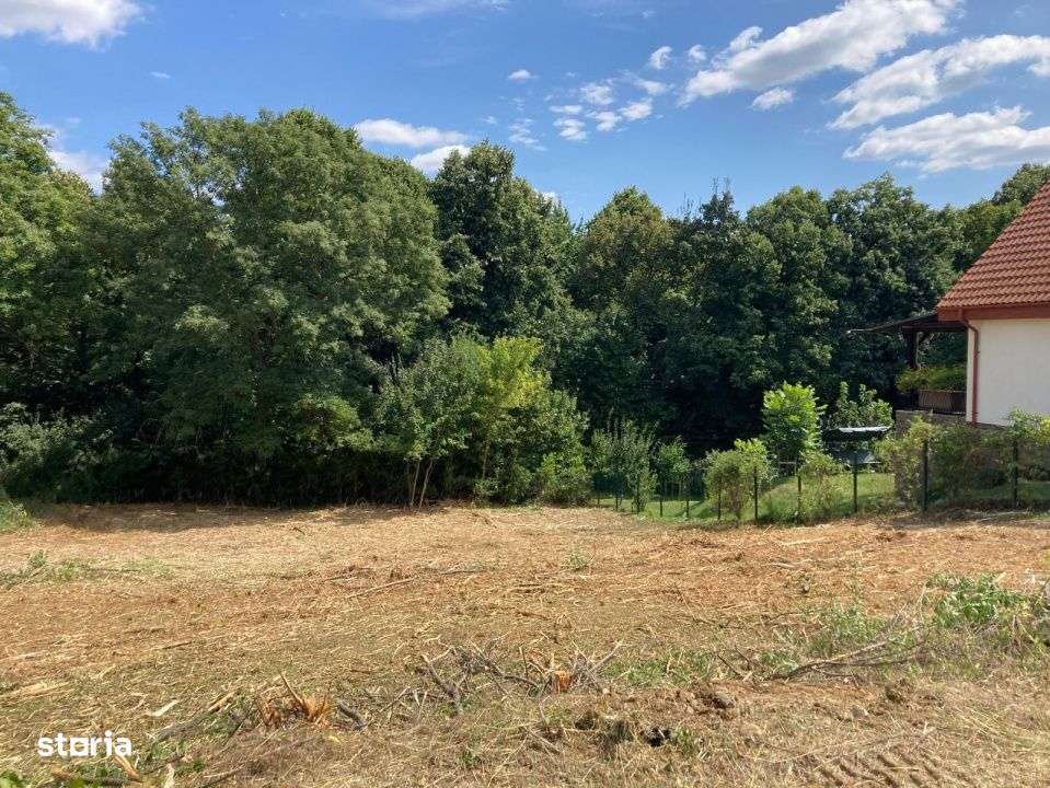 TEREN INTRAVILAN 1060 MP, BUCIUM- BARNOVA, DESCHIDERE LA DRUM 23 M - Imagine principală: 3/5