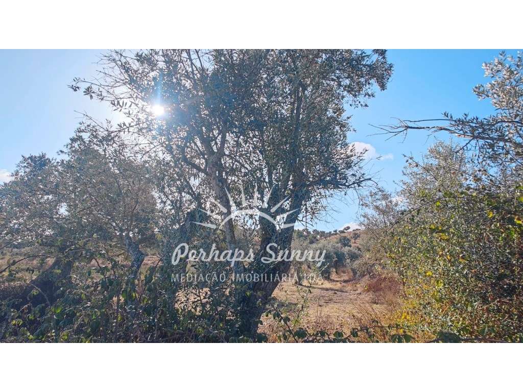 Terreno Rústico - Grande imagem: 5/17