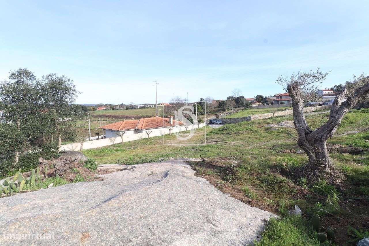 Terreno para construção com 3830 m², em Gemeses, Esposende - Grande imagem: 5/16