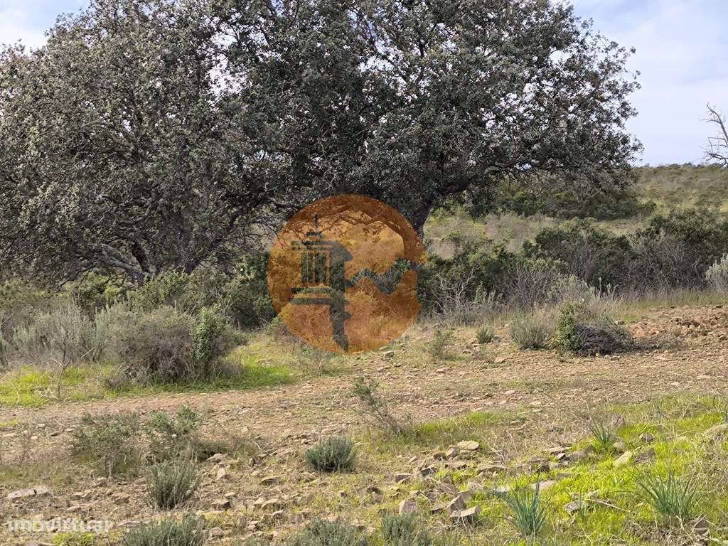 TERRENO COM 55.480 M² - COM POSSIBILIDADE DE CONSTRUÇÃO - HABITAÇÃO... - Grande imagem: 4/22