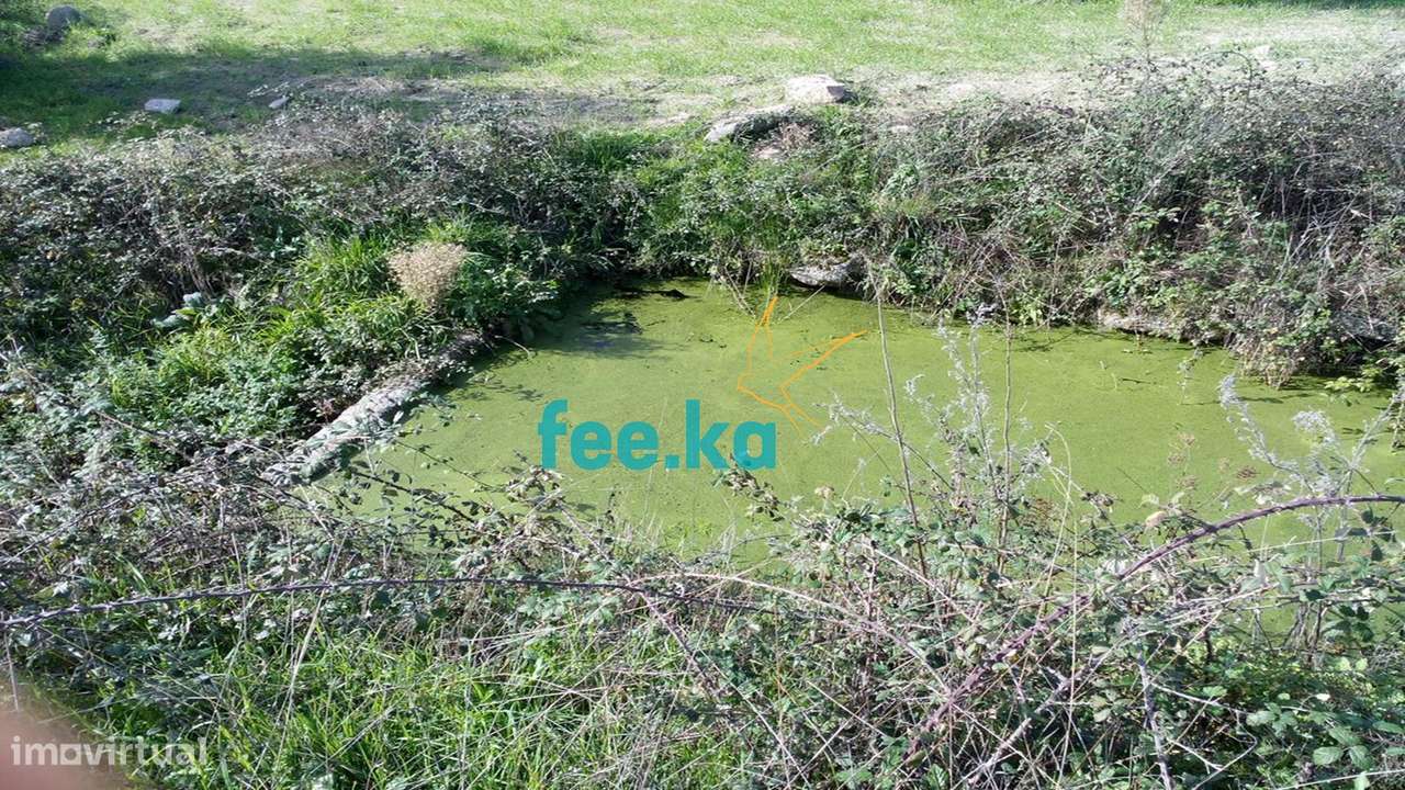 Terreno de 13 ha em Cova da Beira - Grande imagem: 5/16