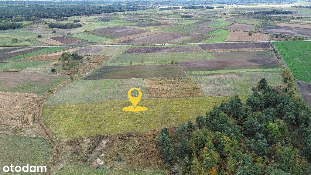 Tarnobrzeg Sobów | Działka rolna 1,31 ha - Pełny obrazek: 2/3