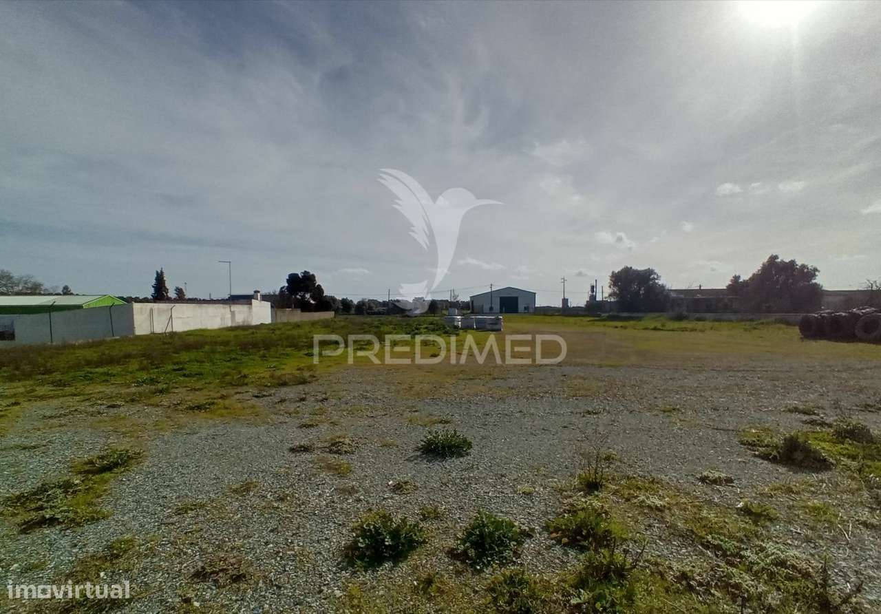 Armazém - Zona Industrial de Alter do Chão - Grande imagem: 4/15