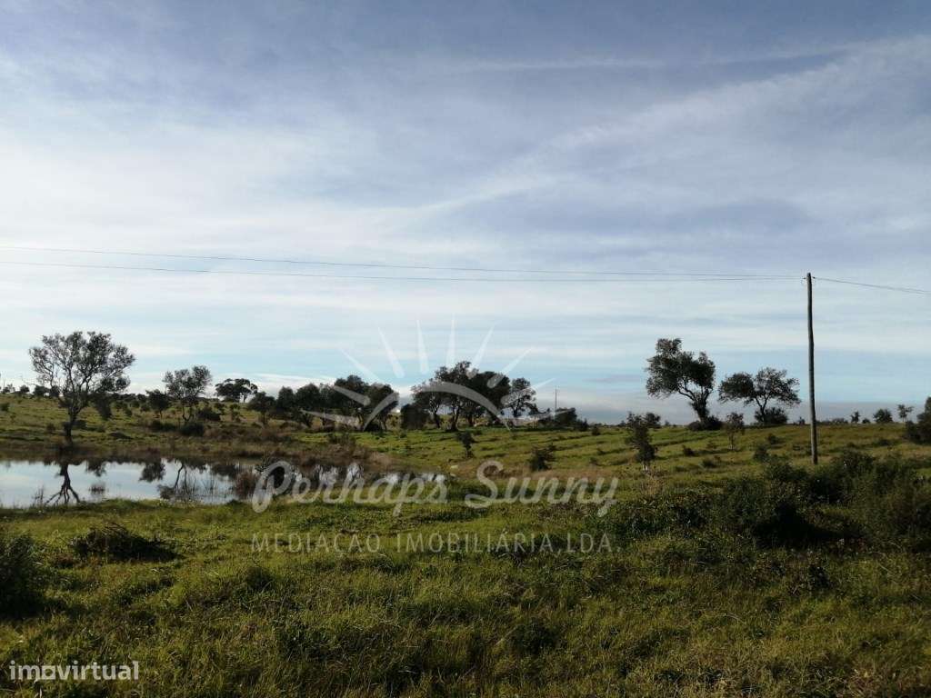 Herdade 45ha Azinheira dos Barros - Grande imagem: 4/17
