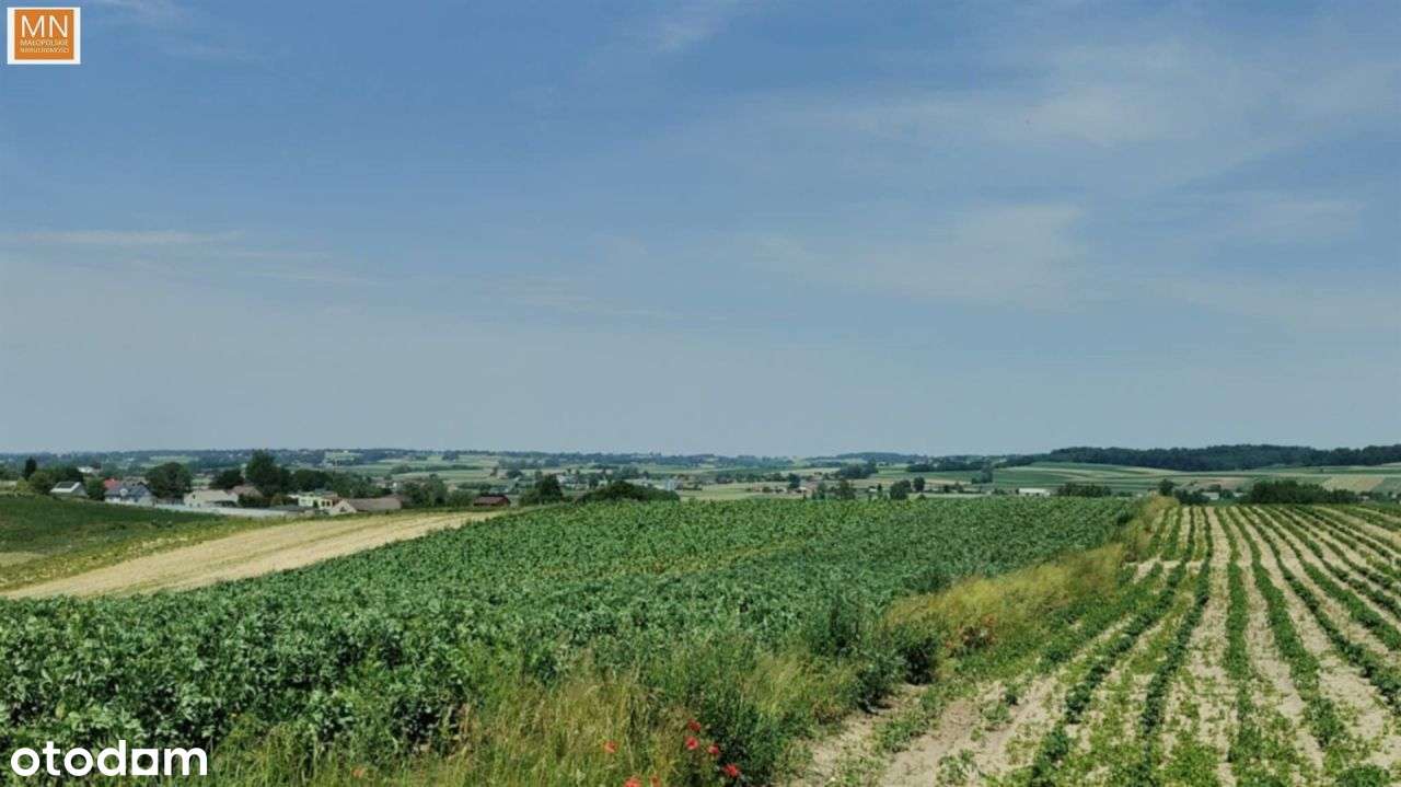 Koszyce,Rachwałowice,Działki 1,2142haRolne-2