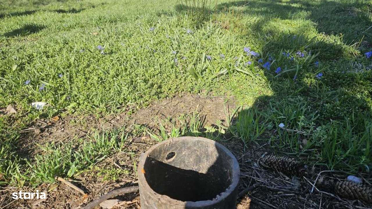 Casa de vanzare in Mihailesti I Posta - Imagine principală: 5/15