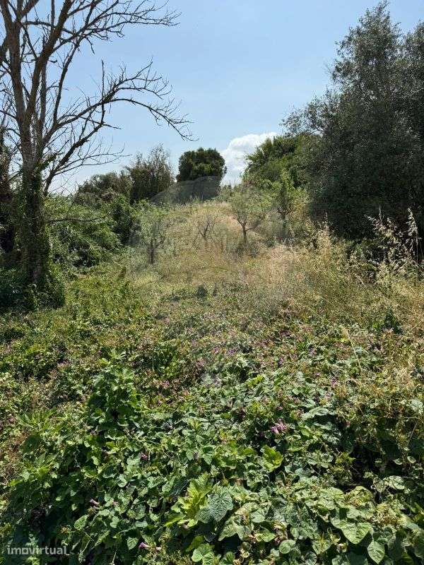 Moradia T2 para venda - Grande imagem: 4/12