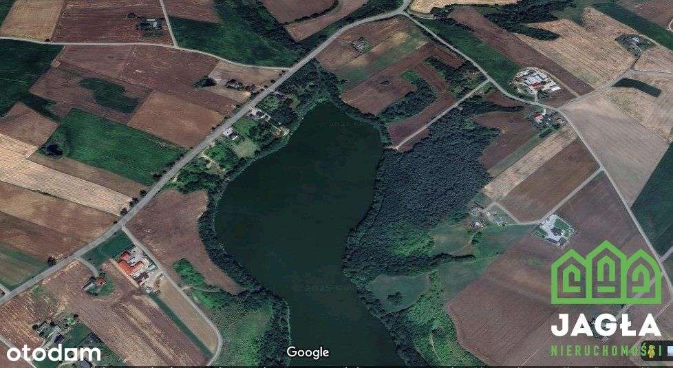 Zbójno 3209m2 linia brzegowa czyste jezioro Wz - Pełny obrazek: 2/6