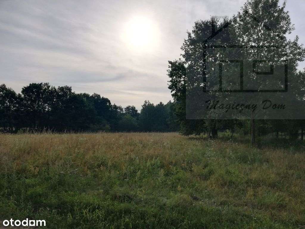 Inwestycyjna Blisko Portu Cpk. Wiskitki-3