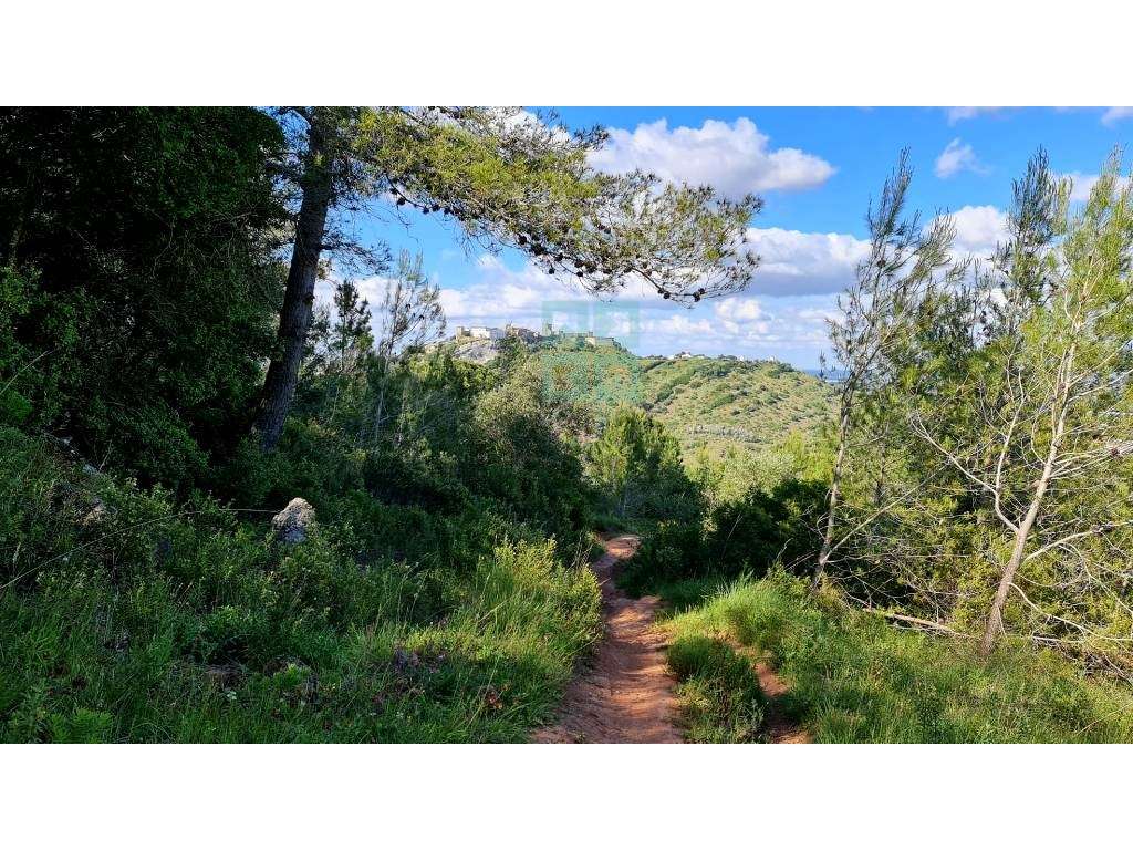 Quinta com 435.487 m2 na Serra da Arrábida, em Palmela, Setúbal-27