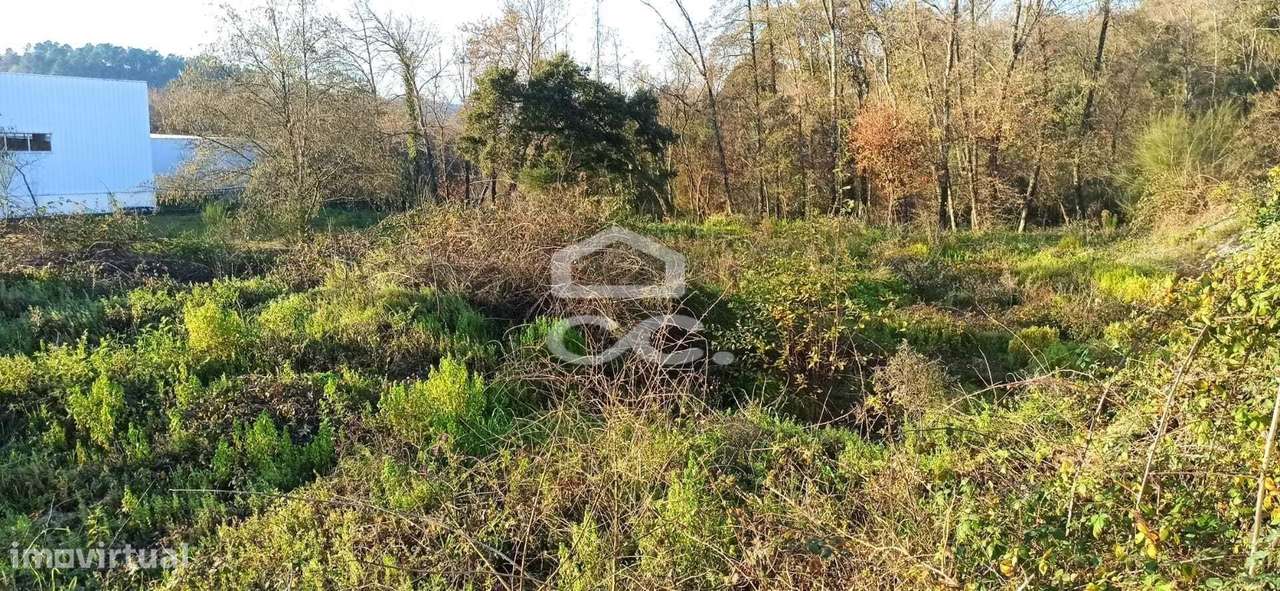 Terreno Industrial em Candoso Santiago - Guimarães - Grande imagem: 4/4