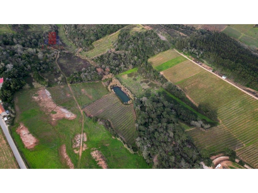 Quinta Agrícola com 27.8 hectares