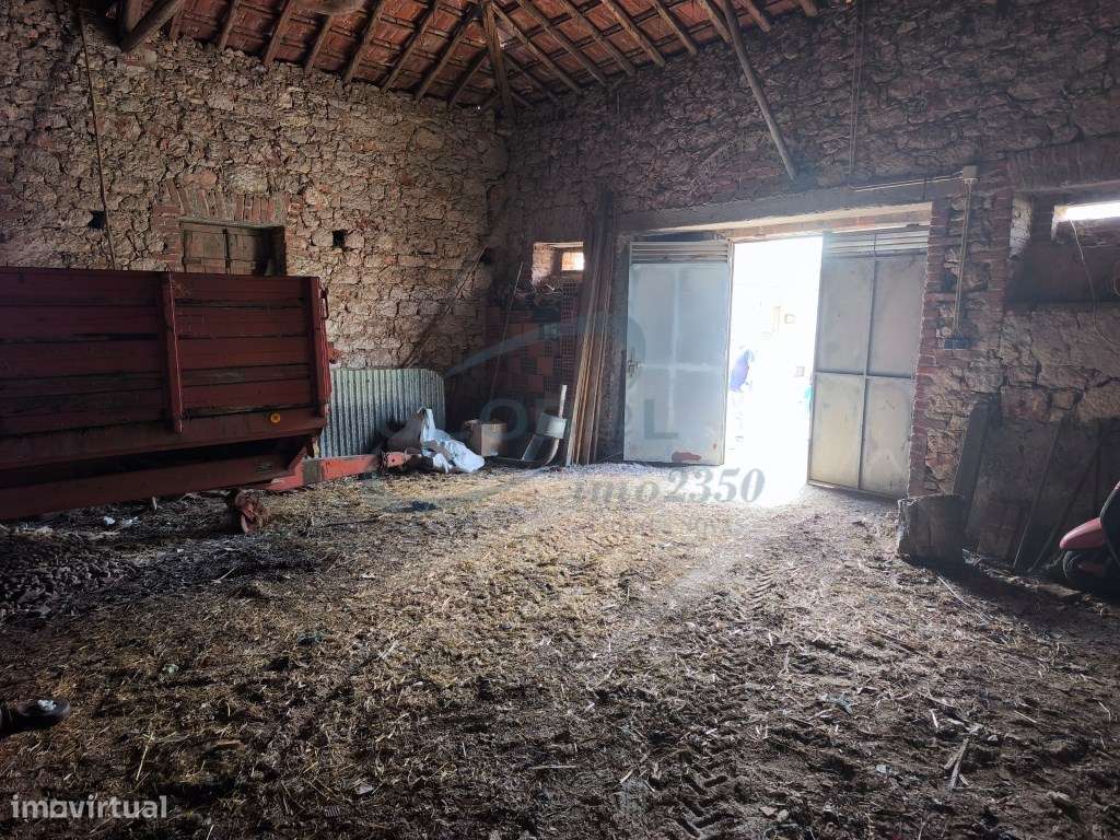 Imóvel a servir de barracão em aldeia junto a Torres Novas-7