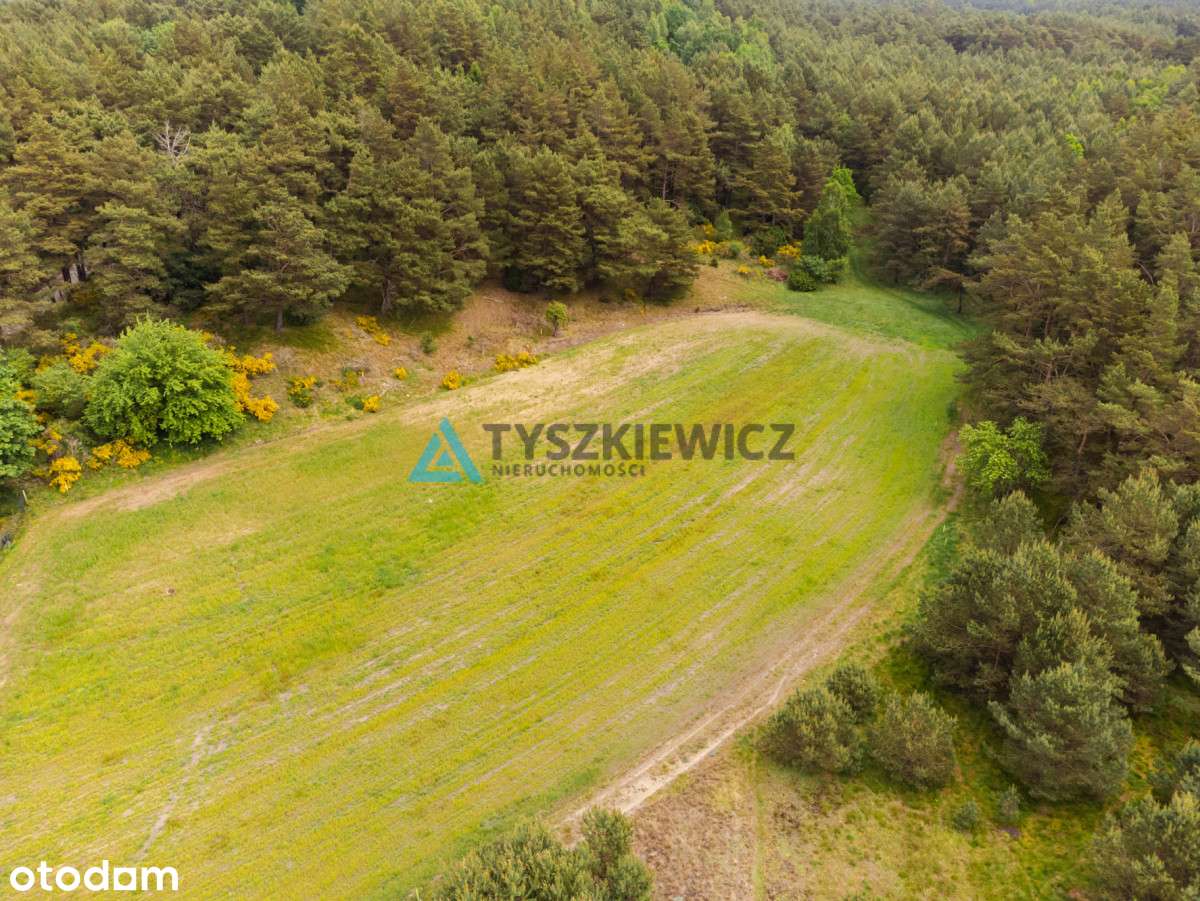 Działki w Ostrowie z wydanymi WZ - Pełny obrazek: 2/17