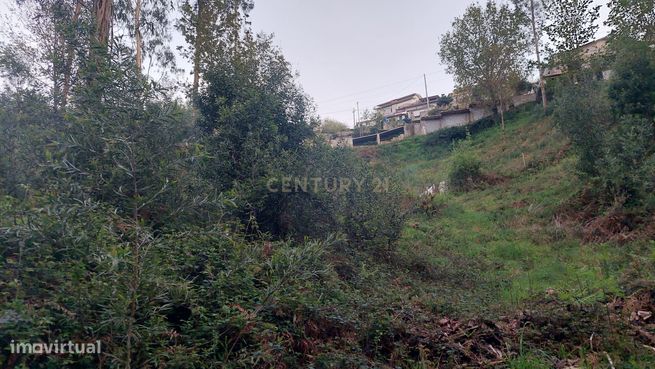 Terreno Rustico em Crestuma, Vila Nova de Gaia-5