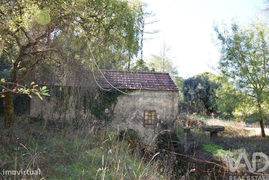 Casa de Campo T1 em Urqueira de 31,00 m2 - Grande imagem: 5/28