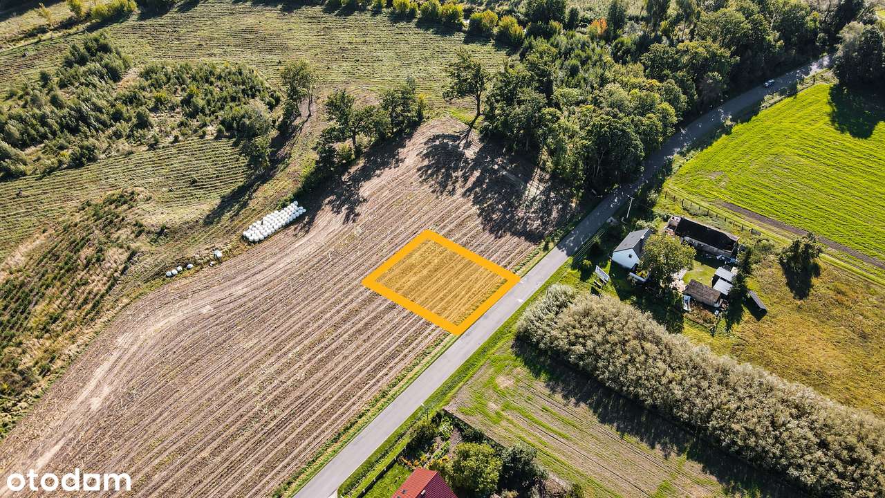 Nowy Folwark, gm. Września, pow. wrzesiński, woj. wielkopolskie-19