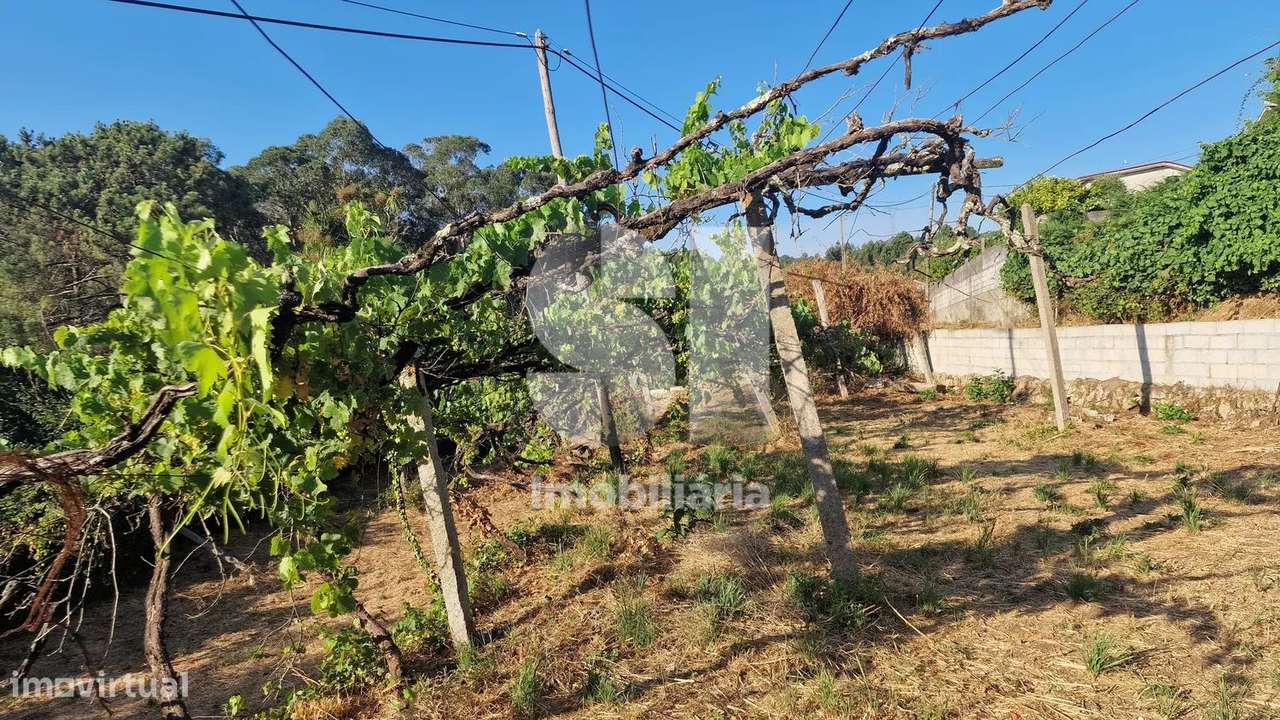 Terreno - potencial de investimento - Astromil - Paredes-16