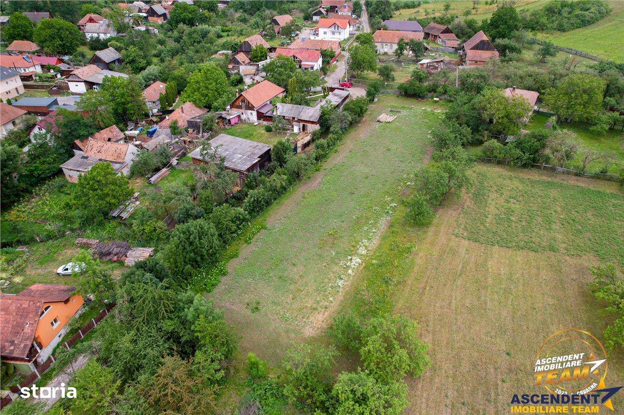 Film! 2.700 mp:refugiu al linistii si oportunitatii imobiliare,Cernat, - Imagine principală: 5/11