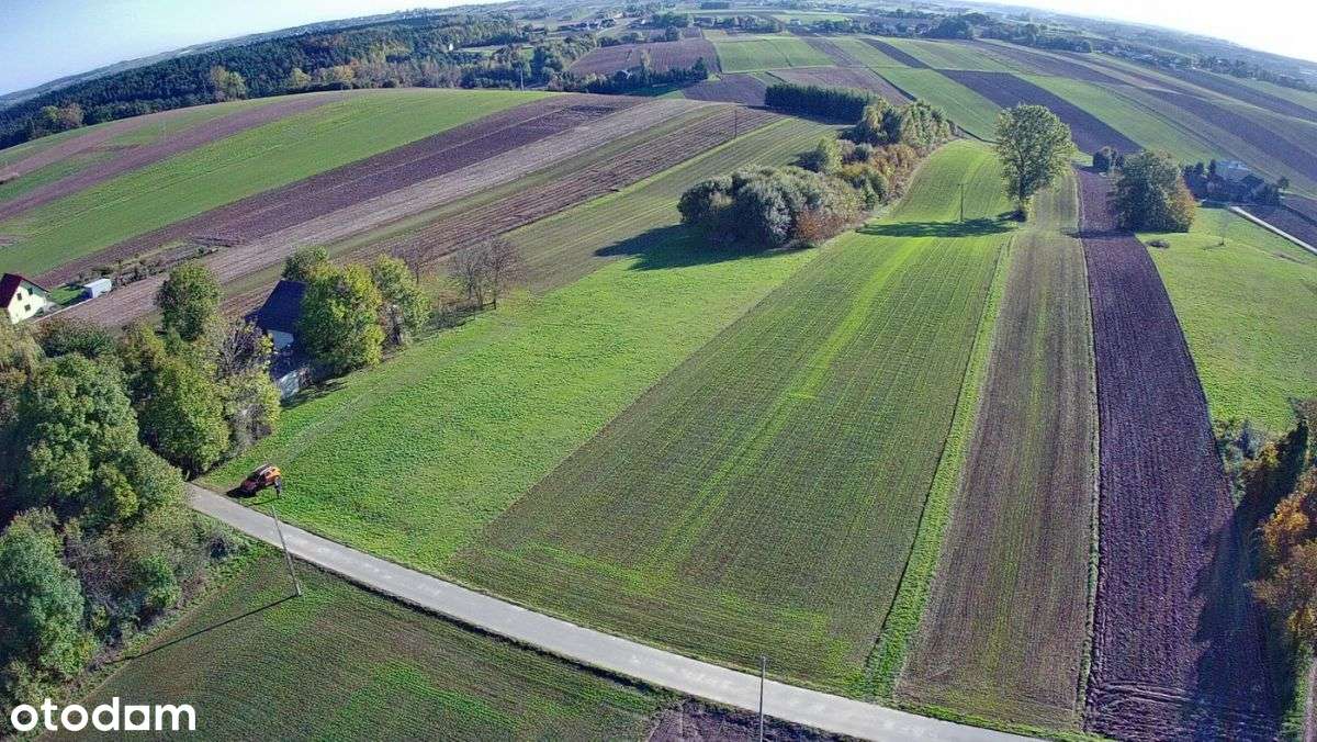 Działka w Tarnawie - Pełny obrazek: 1/11