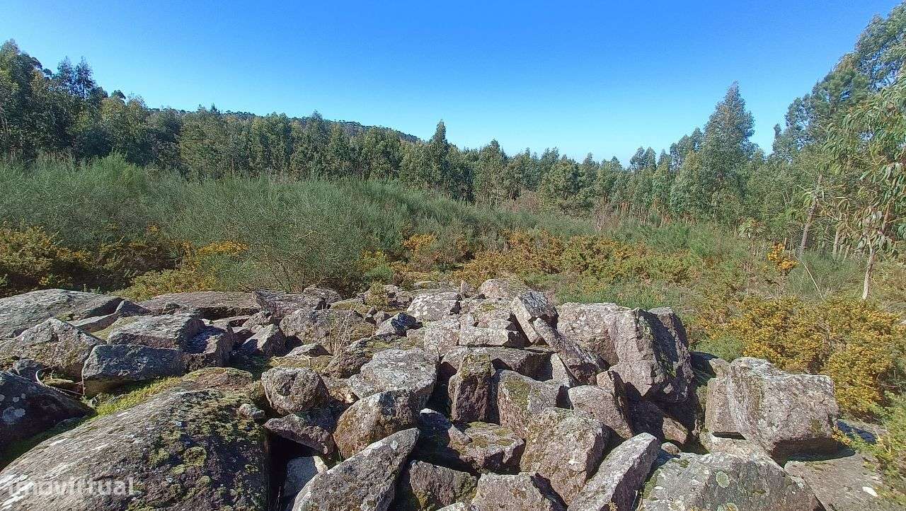 Propriedade Rústica em Santo Tirso-5