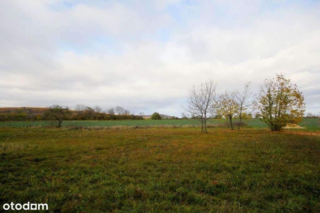 Wspaniała działka budowlana w gm. Paszowice - Pełny obrazek: 4/8