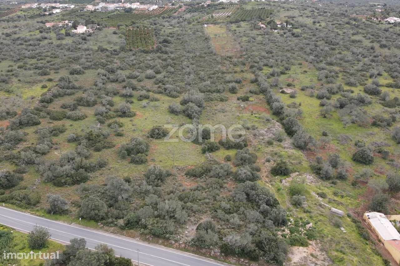 Terreno rústico c/ 20.520m2 na Charneca da Cumeada, Messines - Grande imagem: 4/16
