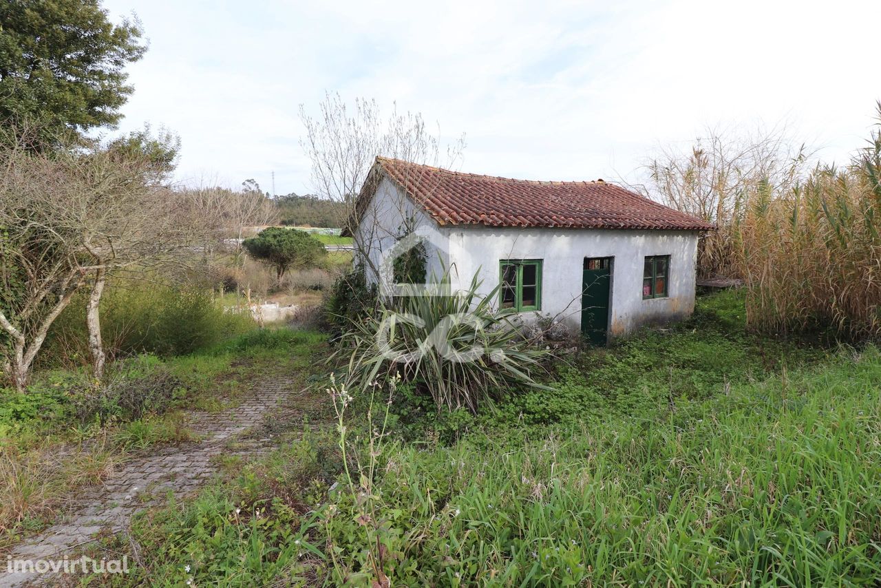 Terreno com 6830 m2, plano, com casa de apoio e viabilidade de constru