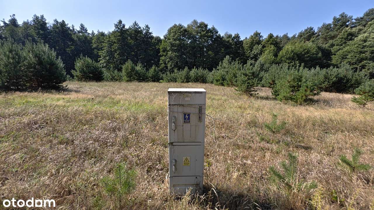 ENKLAWA prezentuje: działka w MEGA okolicy! PUSZCZA NOTECKA + jezioro!-7