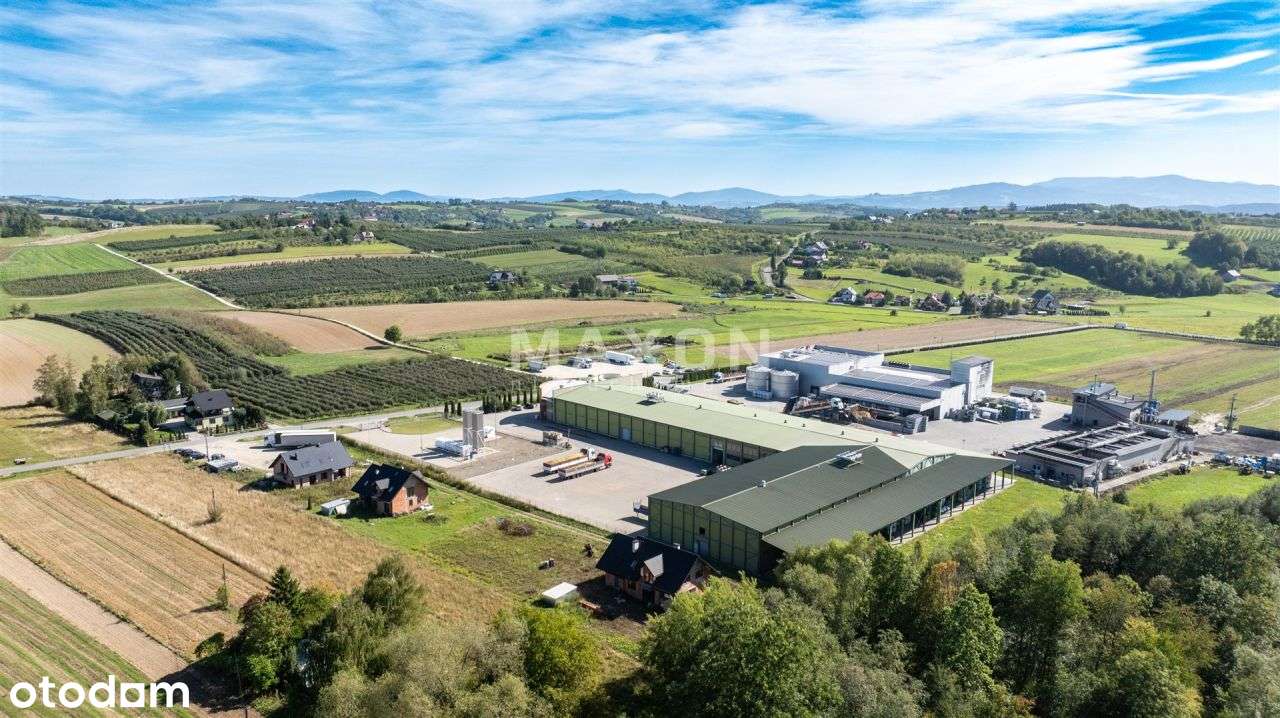 Hala magazynowa / chłodnia / składowanie owoców - Pełny obrazek: 5/6