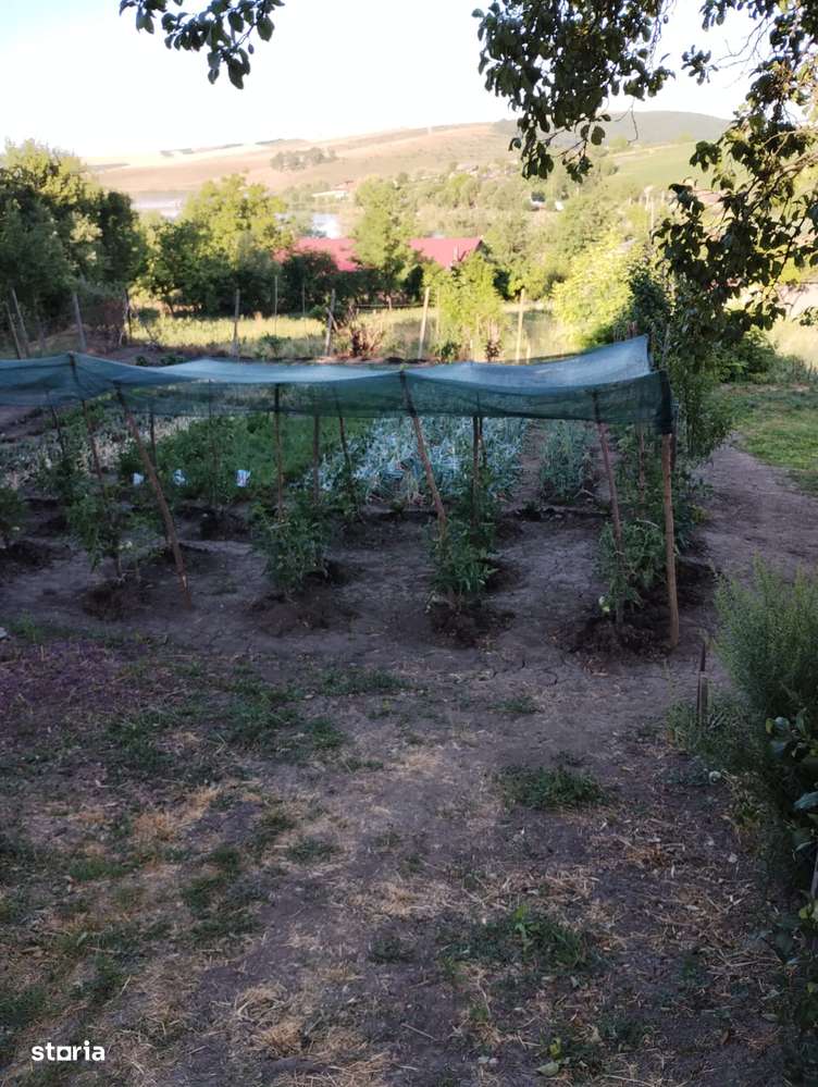 Casă renovată, teren 2300 mp, utilități complete – poziție centrală-4